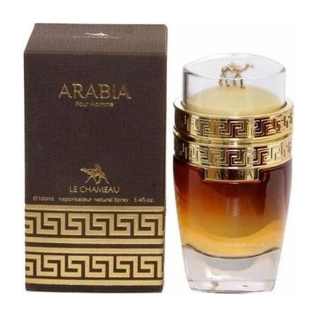 Arabia Pour Homme EDP Le Chameu Perfumes